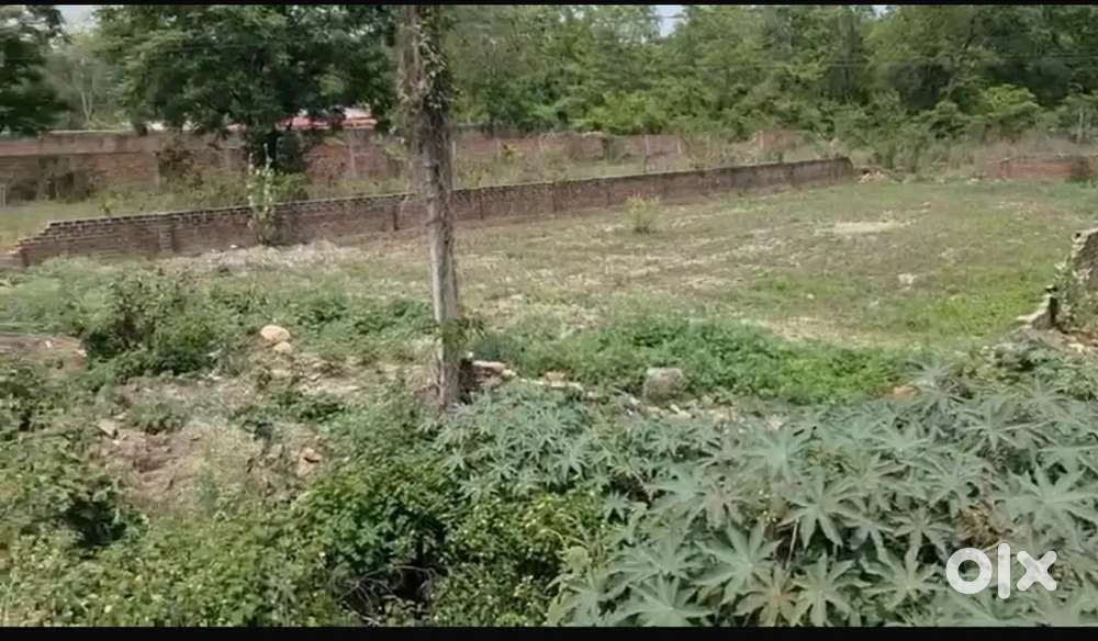 On highway Rishikesh -dehradun