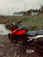 Duke 250 for sale
