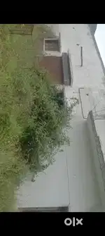 Industrial land with shed