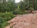 16 സെന്റ് വസ്തു വിൽപനക്ക്