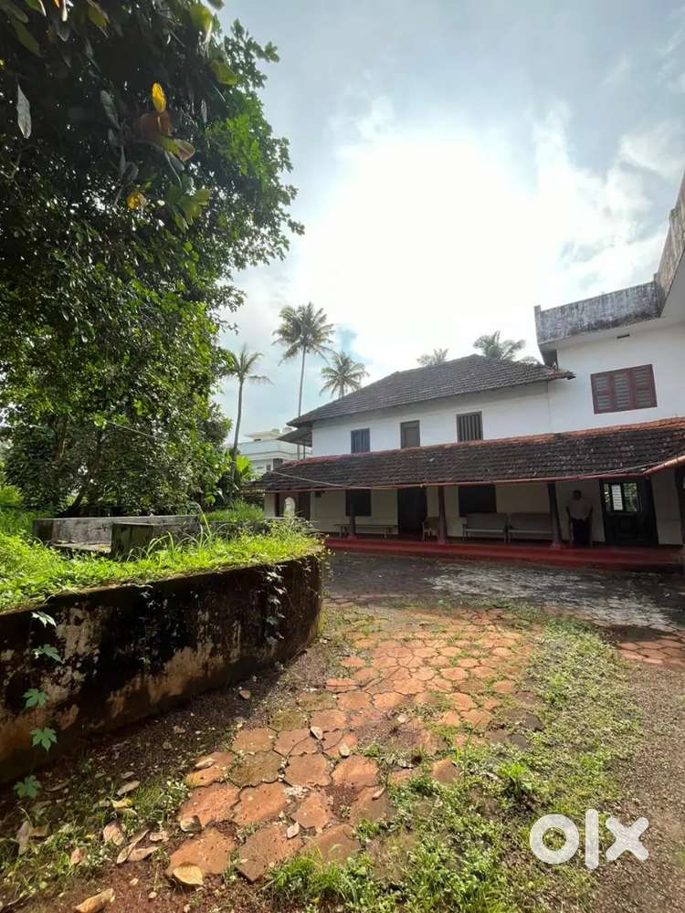 Beautiful house plot for sale