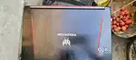 Acer predator