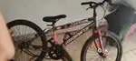 Cycle Radiant hill climb cycle