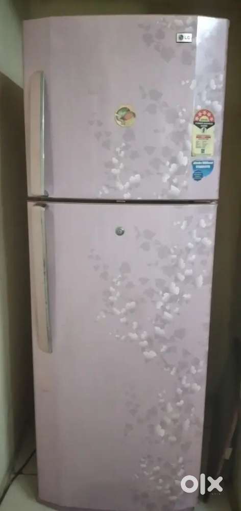 LG Fridge double door model
