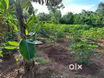 12 cent plot, good for house construction