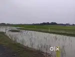 Low budget plot
