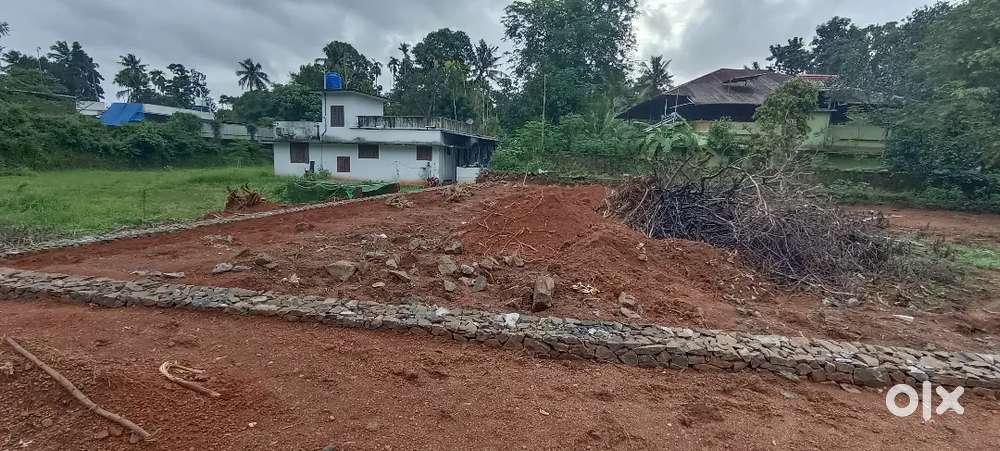 കൊരട്ടി ചിറങ്ങര മംഗലശ്ശേരി ക്ലബിന് സമീപം 4, 5 8, 10 സെൻ്റ്