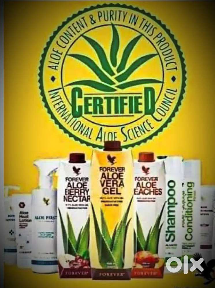 Work from home work from office