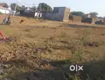 Plot available in kejra road