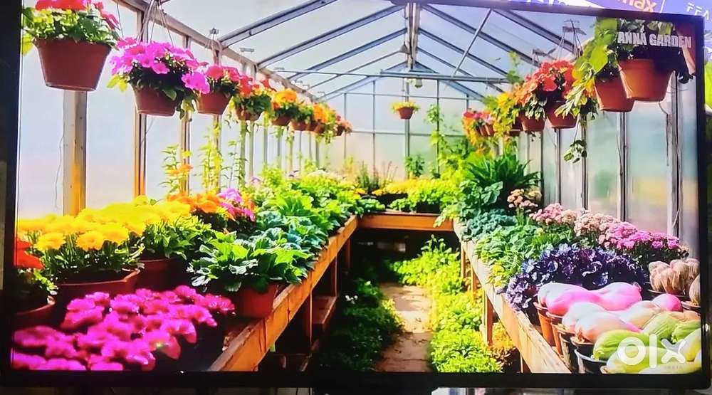 Phillips 40led TV very excellent condition for sale absolutely Good