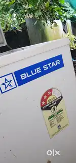 Blue star 457 Litrs D Fridge