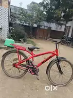 Best in conditions