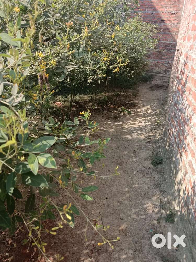 Bhide tution classes