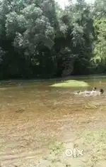 വാട്ടർ ഫ്രണ്ട് പ്ലോട്ട്യിൽ ടവർ ഹട്ടു നിർമിച്ചു വരുമാനം നേടുന്നതിനായി