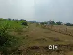 Resale plots