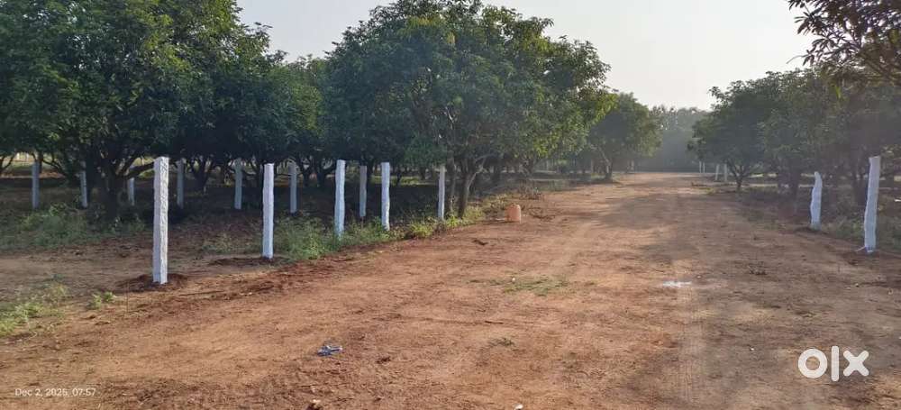 Budget plots for sale