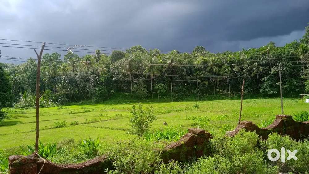 Beautifully located house and plot for sale