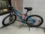 Raleigh Terrain 10: Large Frame, 24 gear MTB