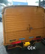 Ape coverd body