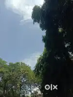 Ghar par khana banana 2 log ka