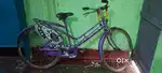 Cycle in purple color