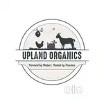 Work from home, Female  assistant required for Nilanga Latur