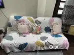 Sofa cum bed with center Table