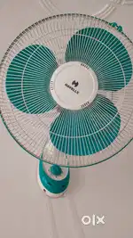 HAVELLS Office WALL FAN