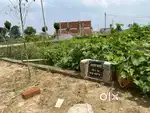 एमिटी यूनिवर्सिटी से 2 किलोमीटर के दौर पर प्लॉट कर दे फुल डेवलपमेंट