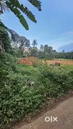 8cent plot for sale