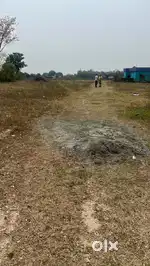 Surrounded by greeenry