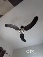 Selling Fan