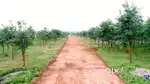 Low layout plot in Hyderabad