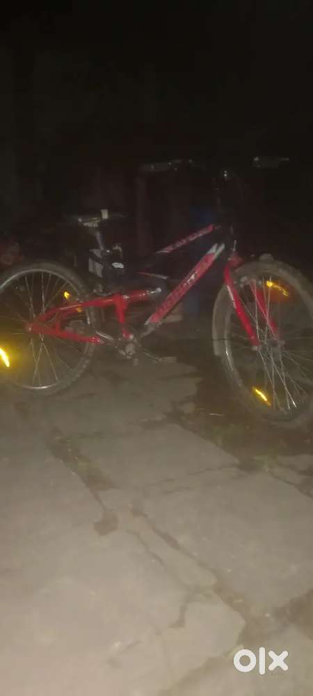 Pure cycle ok hai