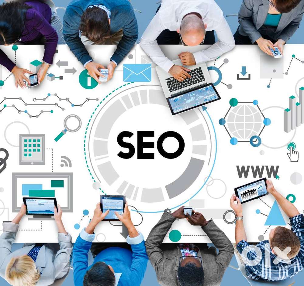Seo Executive