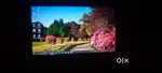 ACER LAPTOP   (4/366) GB