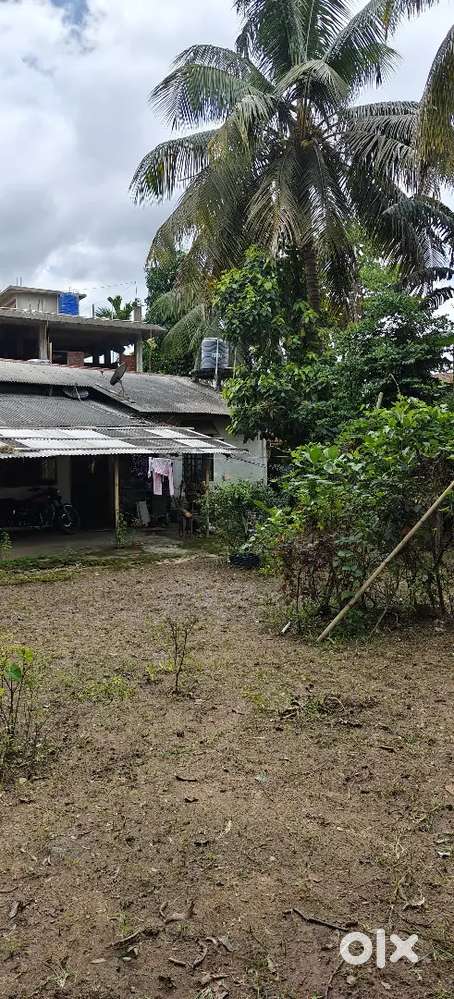 Adha Katha MiyadiPatta Land for Sale