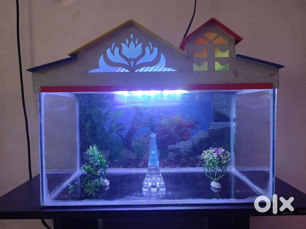 FishTank full set with motor