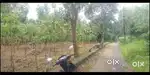 Mathoor 68 cent തേക്ക്  തോട്ടം for sale