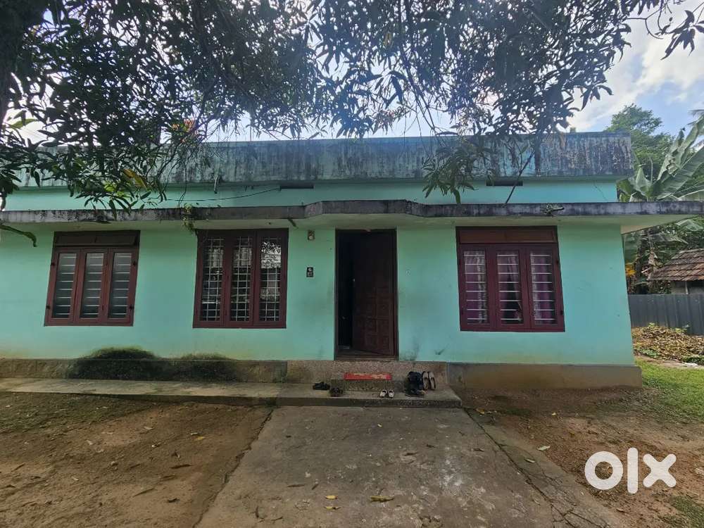 Aluva keezmadu 5.4cent land for sale