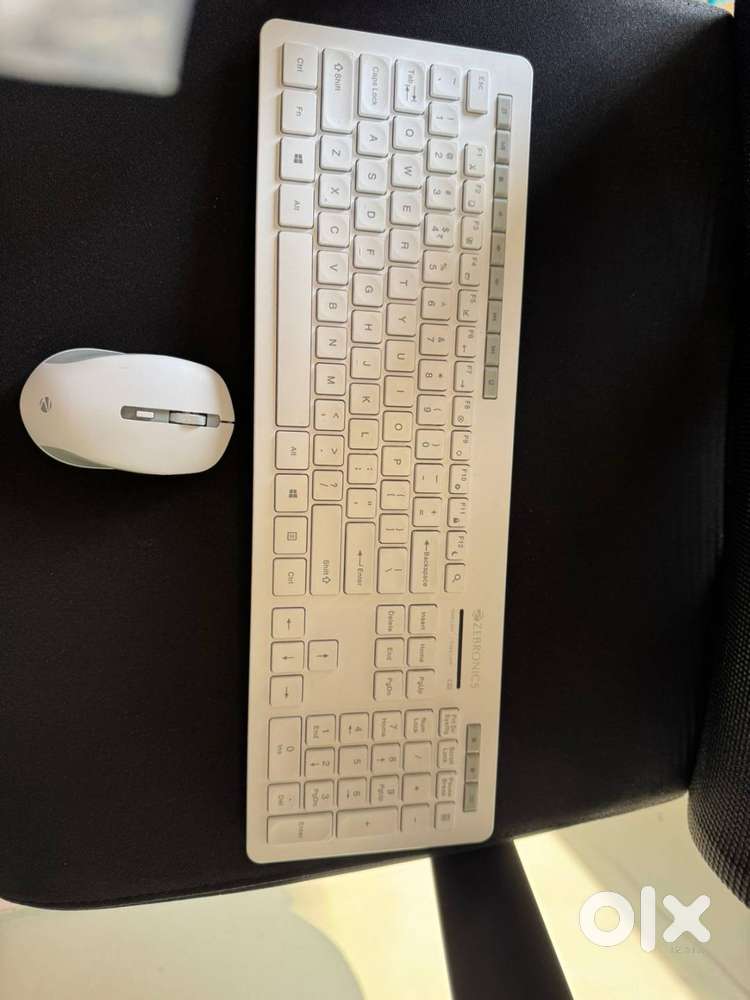 Zebronics Companion 500 - keyboard and mouse combo