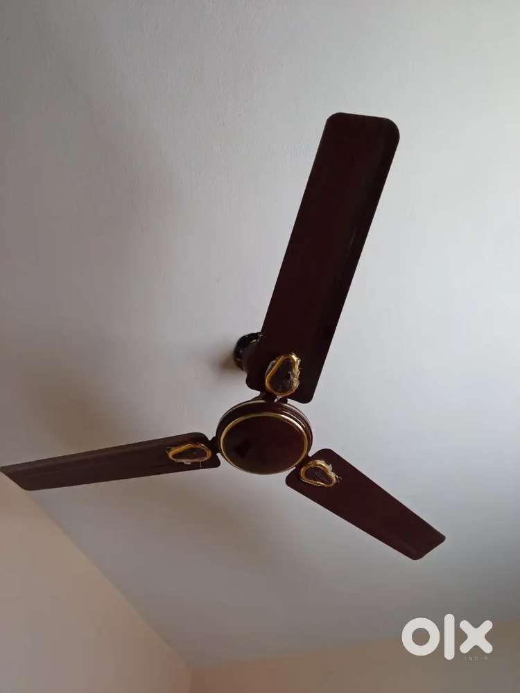 Ceiling fans