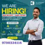 PROJECT MANAGER & ASSOCIATE