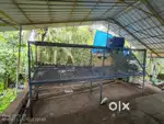 HEN/ POULTRY FARM CAGE