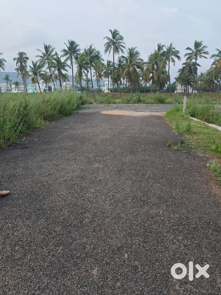 West-Facing Residential Plot for Sale in S. Annavaram, 33ft×55ft