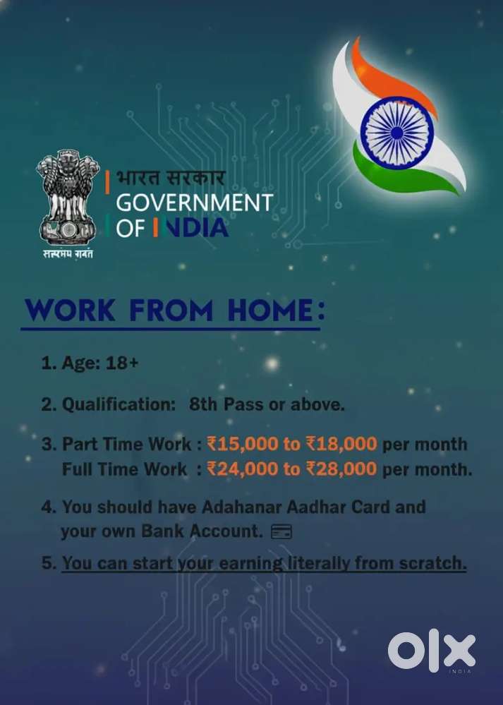 Work from home government project