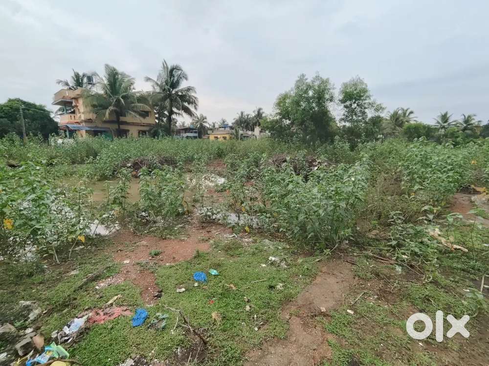 Plot For Sale