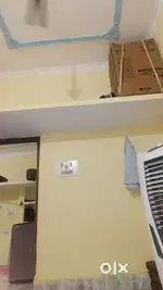 Need flat mate urgent
