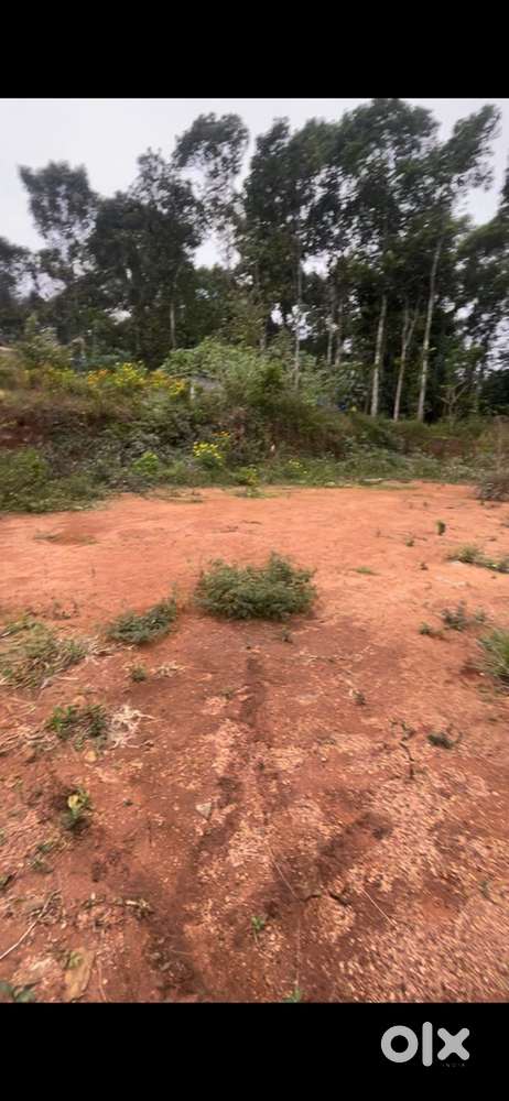 10 Cent housing plot with borewell