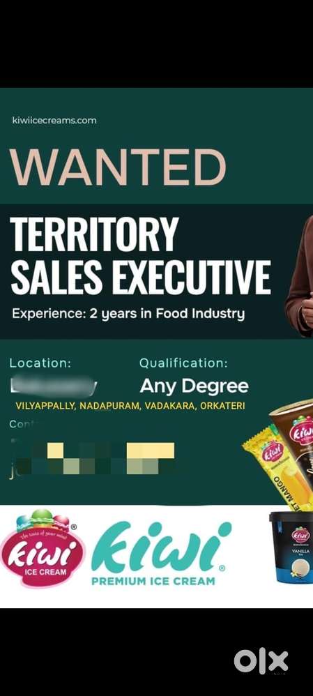 Territory sales officer
